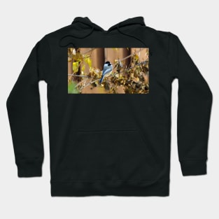 Black-capped Chickadee Perched On A Branch Hoodie